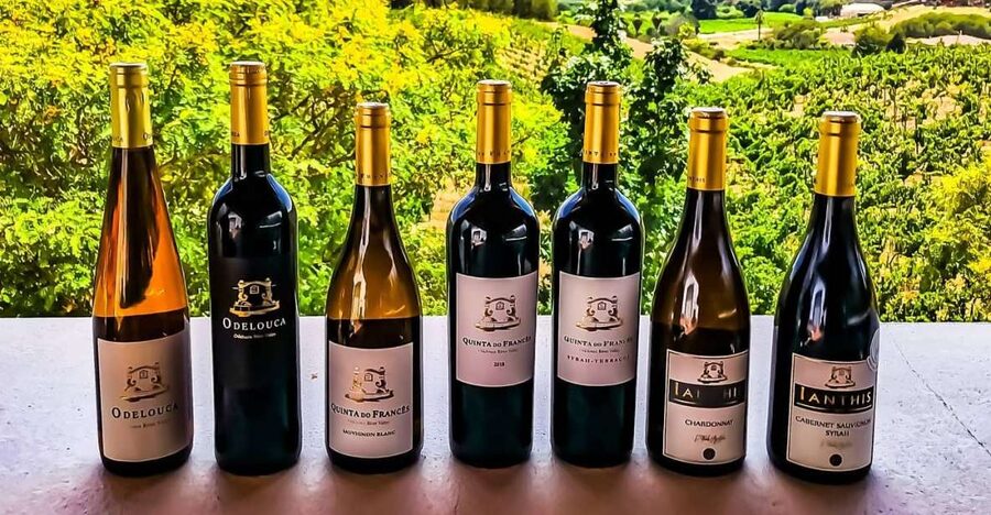 From Lagos: Small-Group 4-Hour Wine Tasting Tour - Key points to know before you go