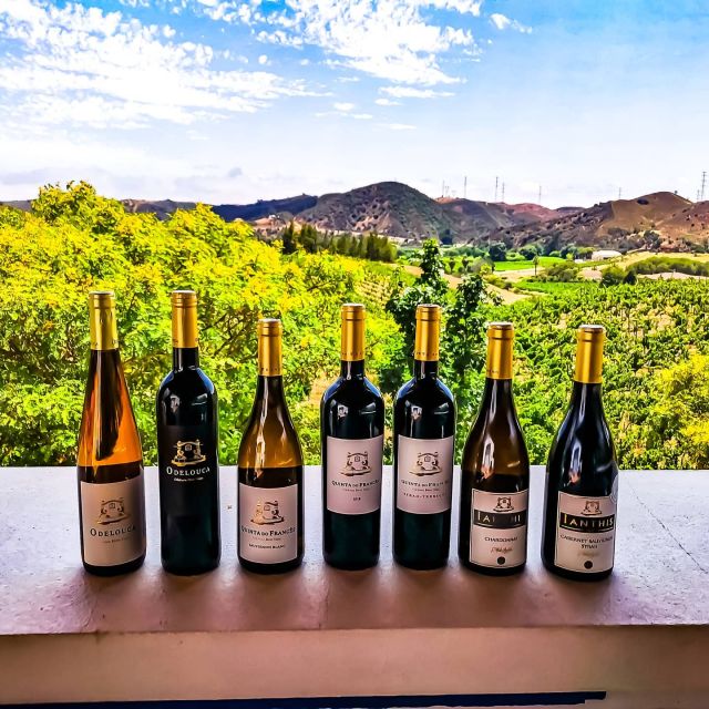 From Lagos: Small-Group 4-Hour Wine Tasting Tour - From Lagos to Silves, the tour stays easy to follow