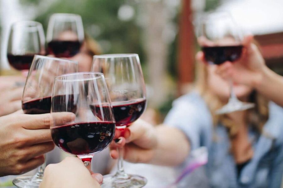 From Lagos: Small-Group 4-Hour Wine Tasting Tour - The winery visit: production rooms and wooden barrel time