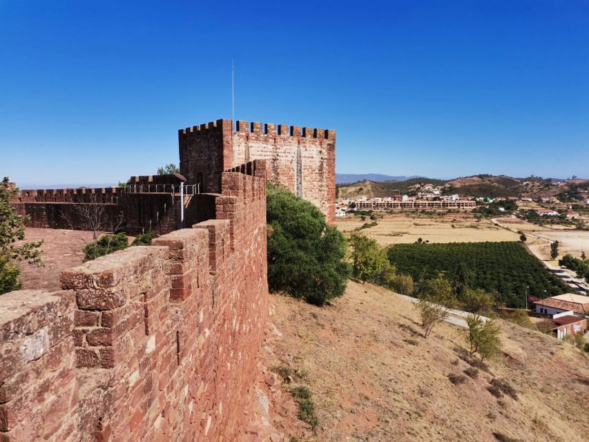 From Lagos: Small-Group 4-Hour Wine Tasting Tour - The ride back through Algarve countryside: oranges and cork trees