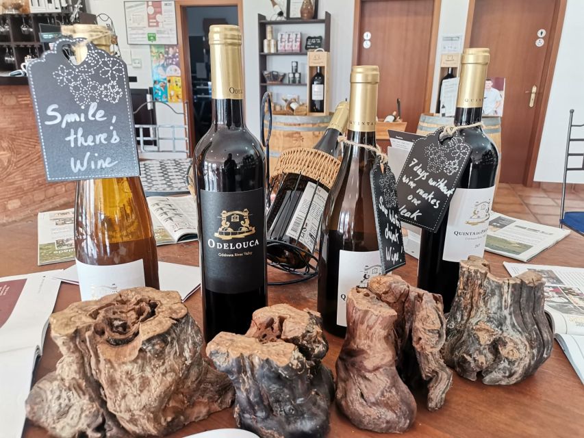 From Lagos: Small-Group 4-Hour Wine Tasting Tour - Who this Lagos to Silves wine tasting tour suits best