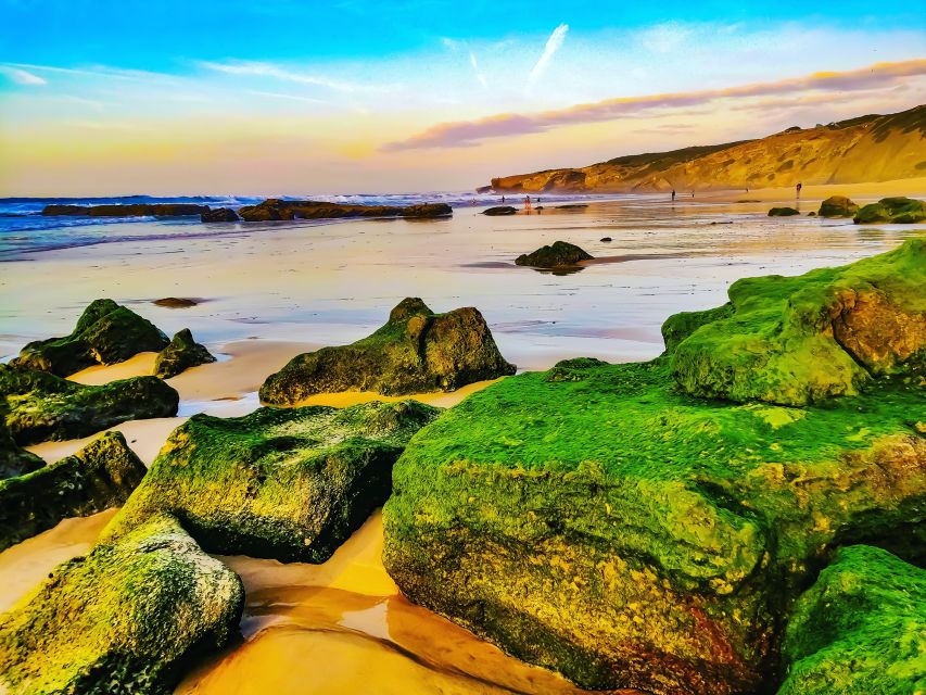 From Lagos: Wild and Wonderful West Coast Full-Day Tour - Cabo de São Vicente and the Cape of St. Vincent Finale