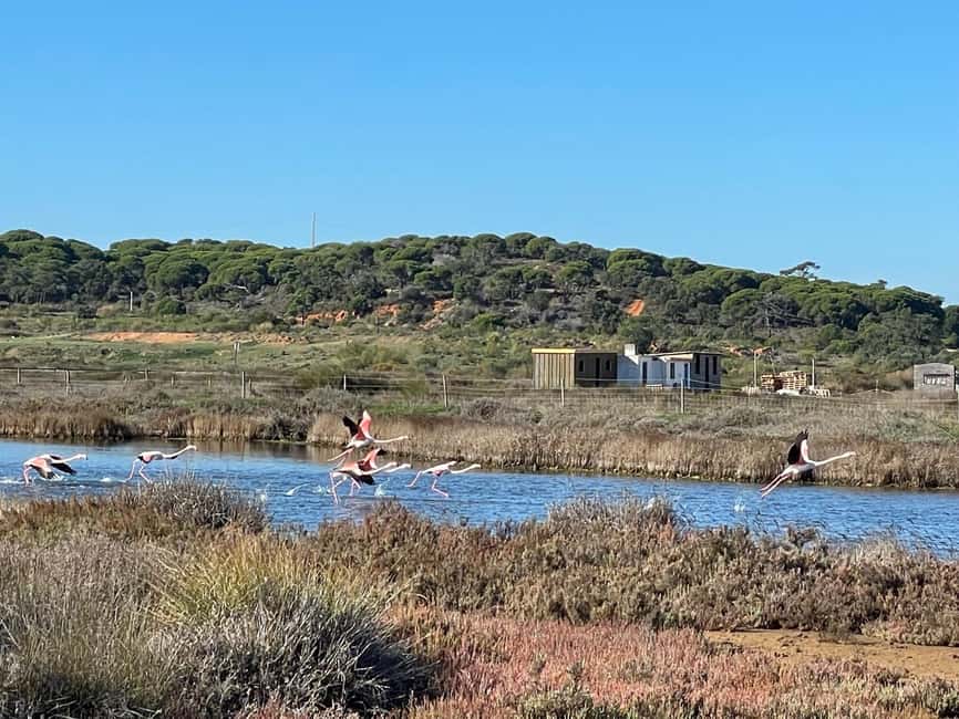 From Monte Gordo: Algarve Private Scenic Gyrocopter Flight - Languages, guide style, and what private group time changes