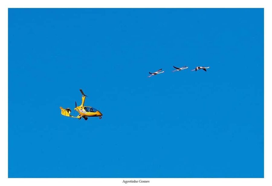 From Monte Gordo: Algarve Private Scenic Gyrocopter Flight - Price and value: why $234 per person might feel fair