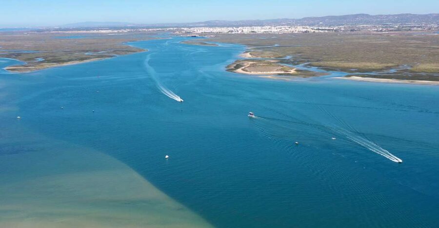 From Olhão: Ria Formosa 3-Island Full-Day Tour - Ilha da Culatra stop: seafood lunch, local shops, and picnic flexibility