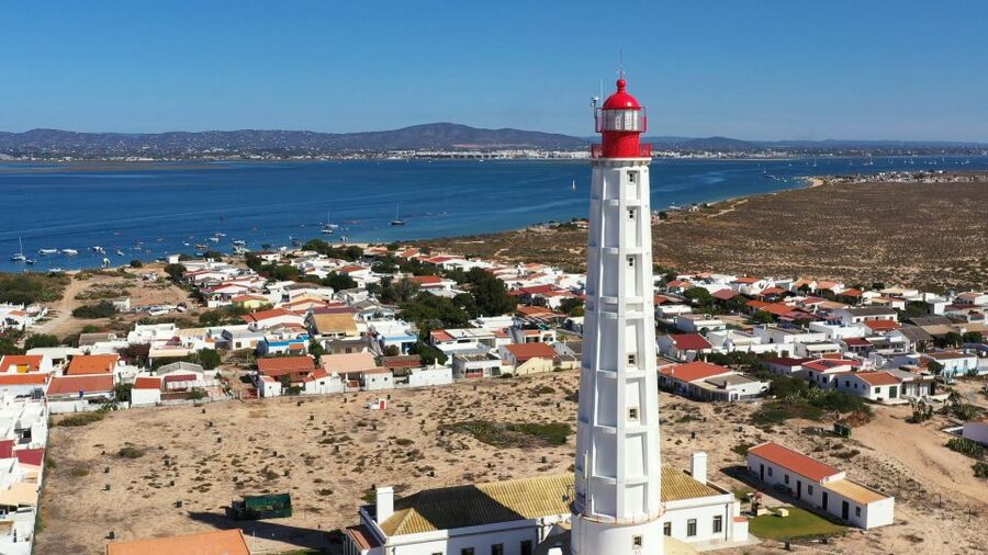 From Olhão: Ria Formosa 3-Island Full-Day Tour - Ria Formosa at low tide: sandbanks, clams and bird spotting