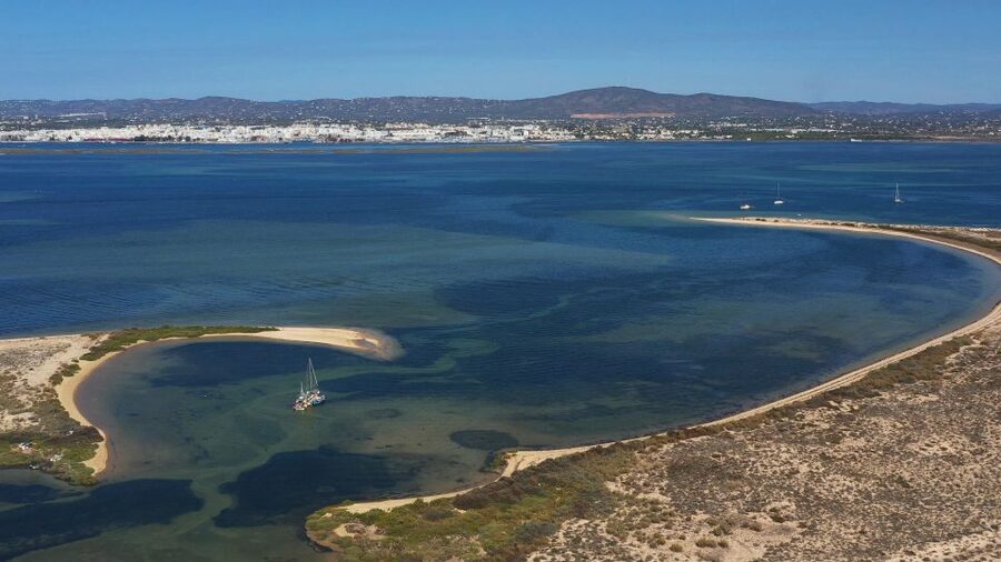 From Olhão: Ria Formosa 3-Island Full-Day Tour - What to pack and how to plan your meals on the islands