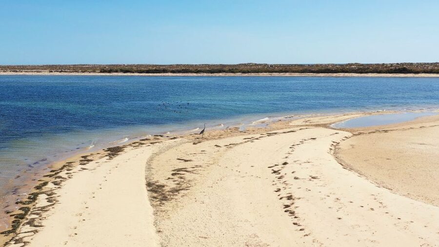 From Olhão: Ria Formosa 3-Island Full-Day Tour with Sunset - Culatra Island: picnic lunch or swim, your choice