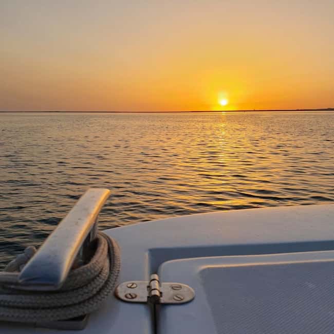 From Olhão: Ria Formosa Sunset Island Boat Tour - The Boat Ride: Calm Water, Shade, and Wildlife Moments