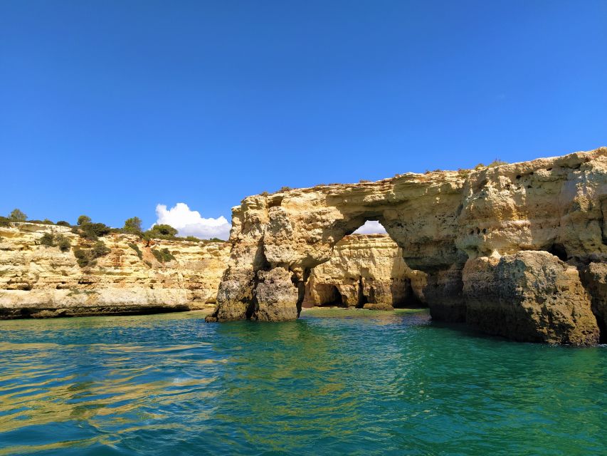 From Vilamoura: 2.5-Hour Benagil Cave and Dolphins Boat Tour - Should you book this Benagil and dolphins boat tour?