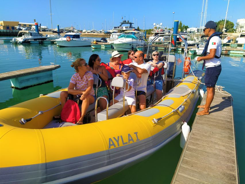 From Vilamoura: 2.5-Hour Benagil Cave and Dolphins Boat Tour - The dolphin hunt: what you can expect, and why it’s the real wildcard