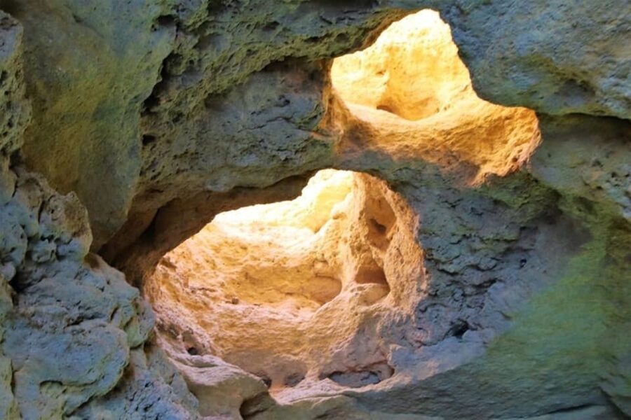 From Vilamoura: 2.5-Hour Benagil Cave and Dolphins Boat Tour - Price and value: why the experience feels fair for most budgets