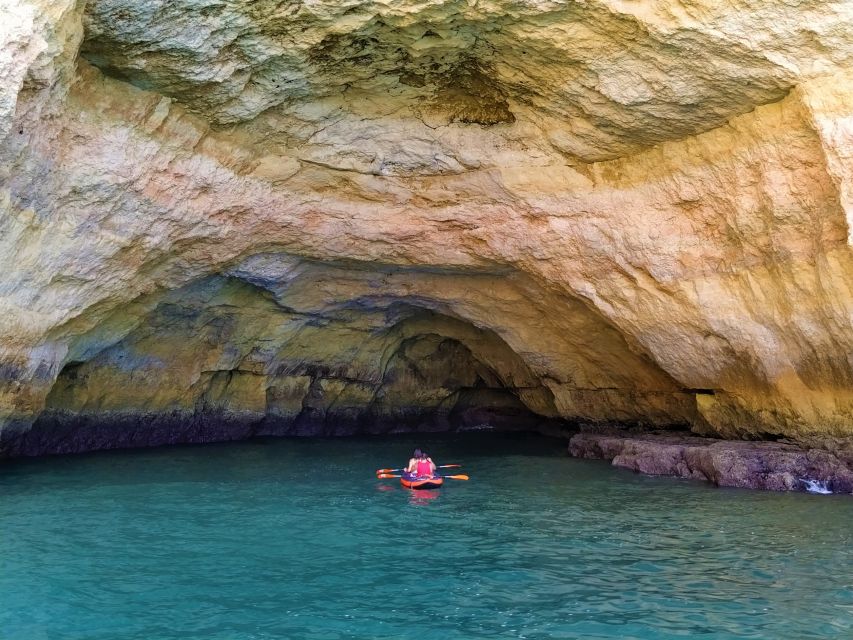 From Vilamoura: 2.5-Hour Benagil Cave and Dolphins Boat Tour - Who should book this speedboat tour, and who should skip it
