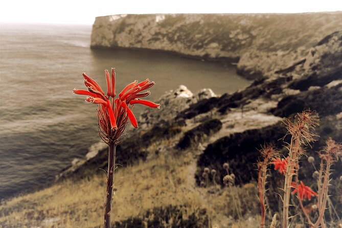 Full Day 4x4 Tour West Coast Natural Park - Vila do Bispo Secret Beach: Bring Shorts or a Bikini