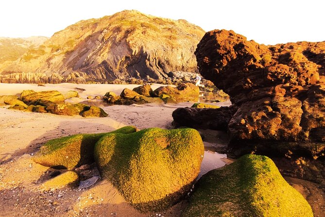 Full Day 4x4 Tour West Coast Natural Park - Cliff Viewpoint and a Short Natural Park Trail