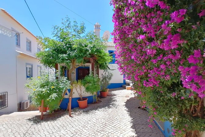 Full Day Private Tour in Western Algarve - Lagos Municipal Market, Meia Praia Views, and the Guided Old Town Walk