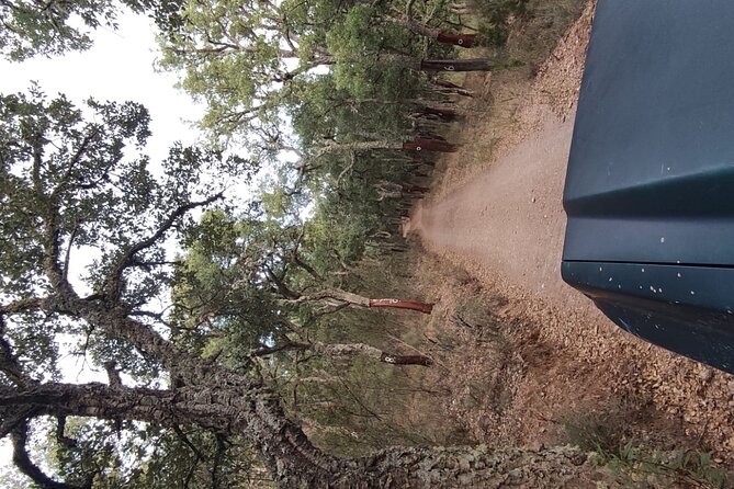 Half-day 4X4 tour of the Monchique Mountains and Lake Bravura - Walk It Off, Then Cool Off: Lagoon Trail and Swim Time