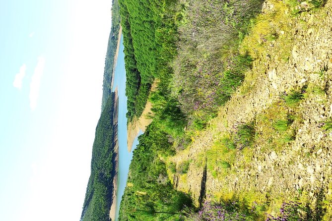 Half-day 4X4 tour of the Monchique Mountains and Lake Bravura - What You Get for $95.20 and Why This Is Good Value