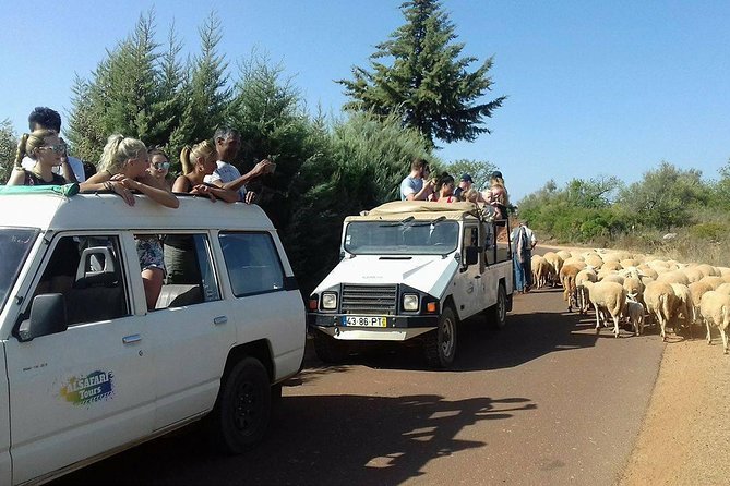 Half-Day Algarve Countryside and Villages Jeep Safari - Who Should Book This Jeep Safari From Albufeira?