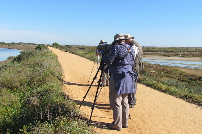 Half-day birdwatching around Tavira - Key highlights you will feel on the walk