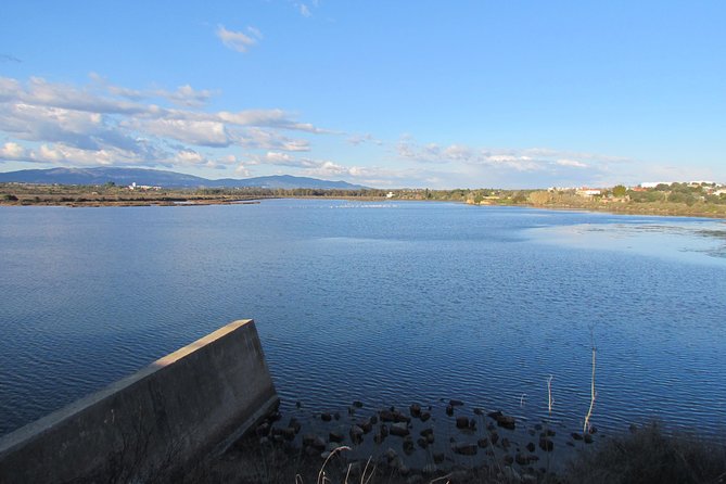 Half-day birdwatching at the Abicada marshed - Logistics that make it easier: mobile ticket, transport, and where you begin