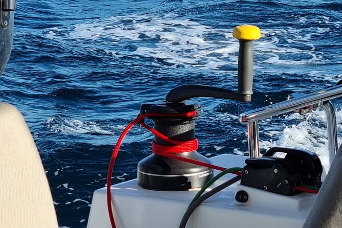 Half Day Catamaran Tour in Algarve - Lagos - What’s included on board: drinks, sound system, snorkeling gear, and real service