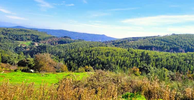 Half-Day Mountain Jeep Safari with firewater tasting - Monchique Jeep Safari, hotel pickup, and what the ride feels like