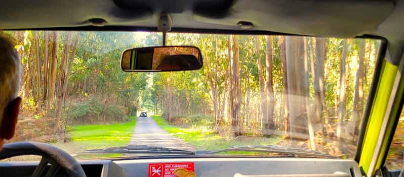 Half-Day Mountain Jeep Safari with firewater tasting - Cork oak forest lesson: why Portugal’s bark matters