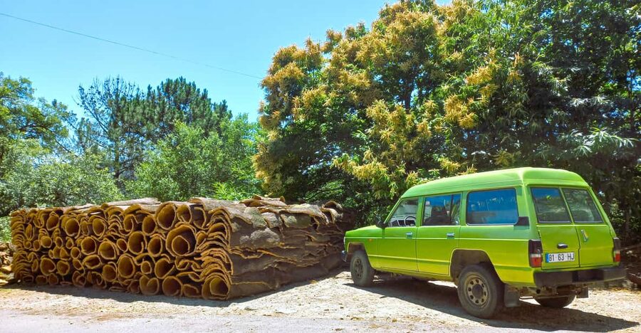 Half-Day Mountain Jeep Safari with firewater tasting - Monchique stop (about 105 minutes): photo stops, a walk, and guide-led context
