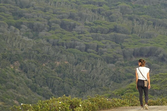 Half Day Nature Walk and Picnic at West Coast Algarve - Price, included extras, and why this can beat a DIY day