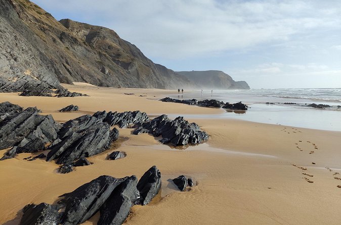 Half Day Nature Walk and Picnic at West Coast Algarve - Practicalities: walking pace, what to bring, and who will enjoy it most
