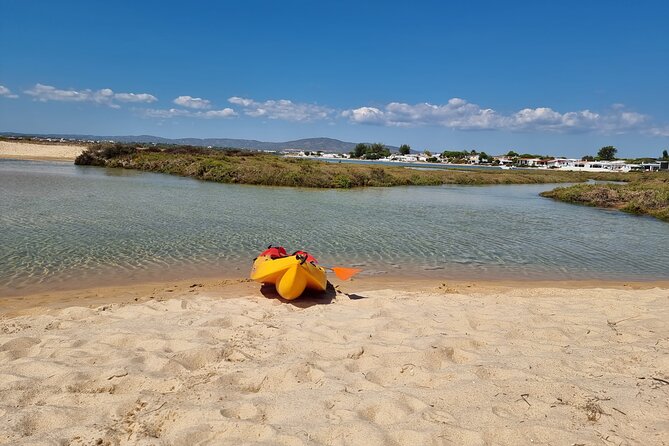 Half-Day Private Guided Kayak Island Tour - Ilha do Farol: island time with guided points of interest