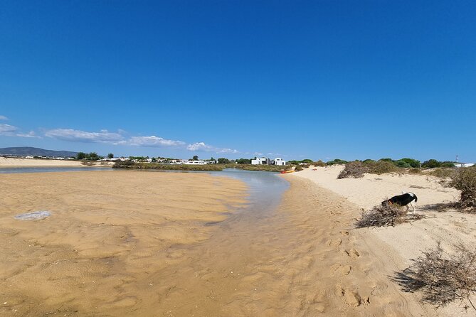Half-Day Private Guided Kayak Island Tour - Ria Formosa Natural Park: why this area is worth your time