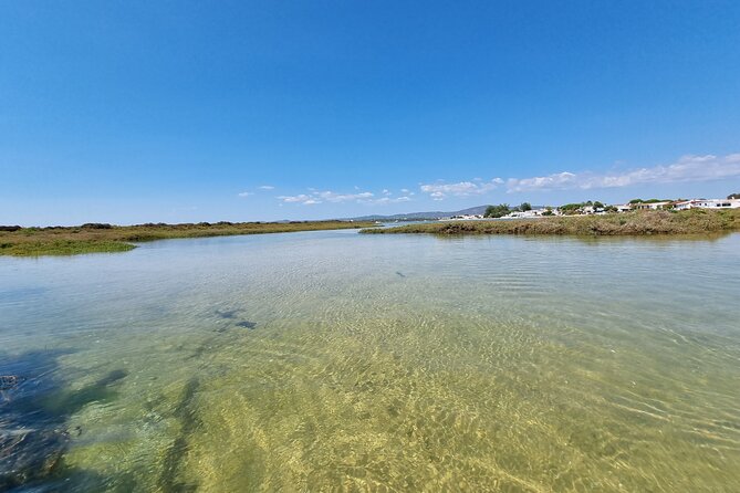 Half-Day Private Guided Kayak Island Tour - Private guided kayak, in English, with real customization