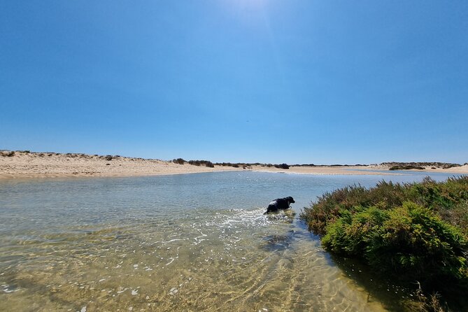 Half-Day Private Guided Kayak Island Tour - Equipment, comfort, and how hard this really is