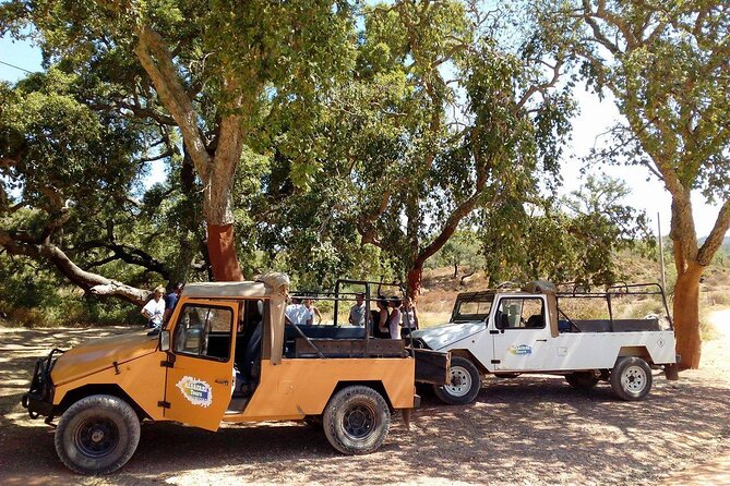 Half Day Safari Tour with Wine Tasting - A half-day Algarve detour that feels practical, not rushed
