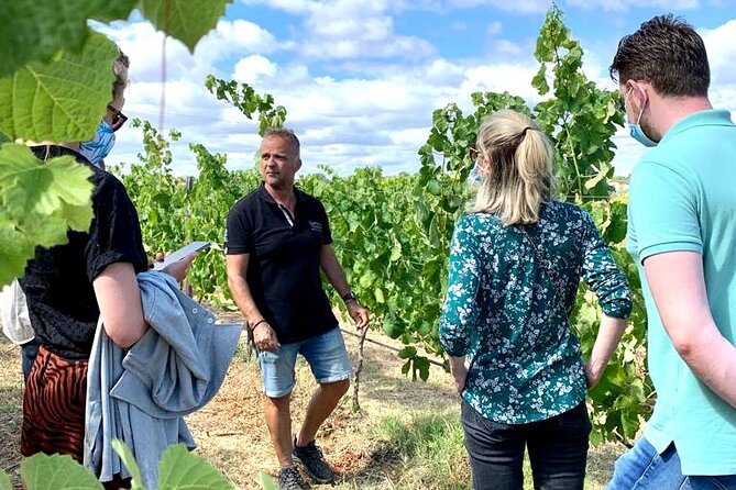 Half Day Safari Tour with Wine Tasting - Paderne pass-by: a quick look at village Algarve