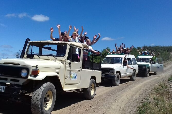 Half Day Safari Tour with Wine Tasting - What you should eat and drink on the day