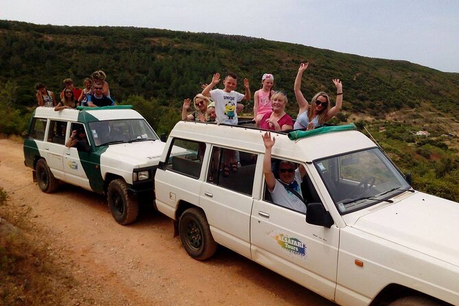 Half Day Safari Tour with Wine Tasting - Price and value: why $70.14 can make sense