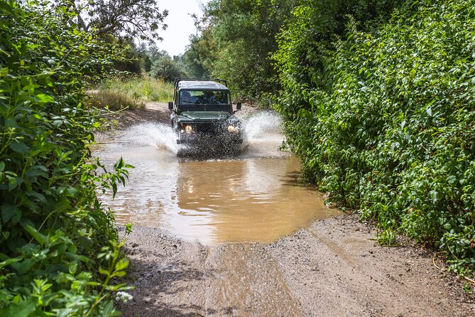 Half-day tour 4x4 West Coast of the Natural Park - What kind of guide you can expect, from Sandro to JP