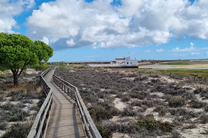 Half Day Walking Tour in Ria Formosa Nature Park - Key points to know before you go