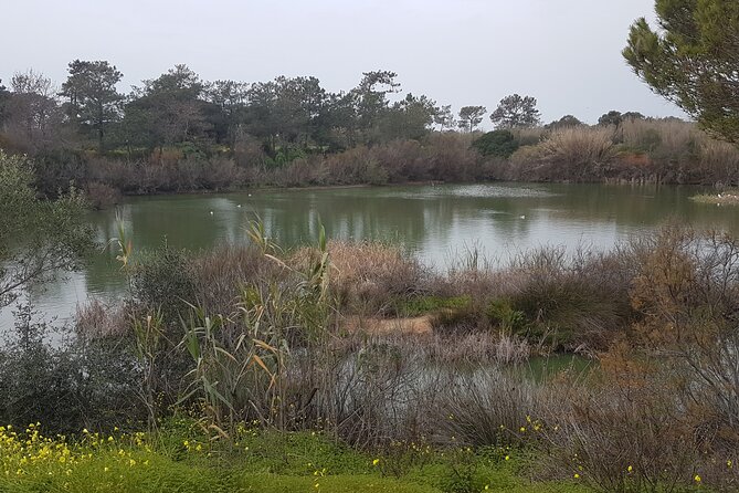 Half Day Walking Tour in Ria Formosa Nature Park - How the park ties people, history, and ecology together