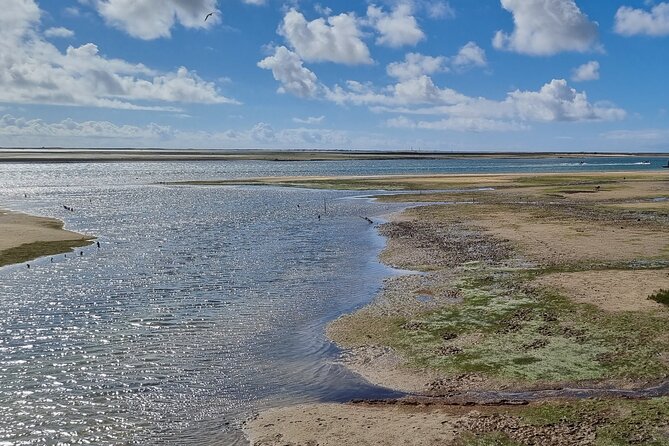 Half Day Walking Tour in Ria Formosa Nature Park - Timing and comfort: what 3 to 4 hours feels like