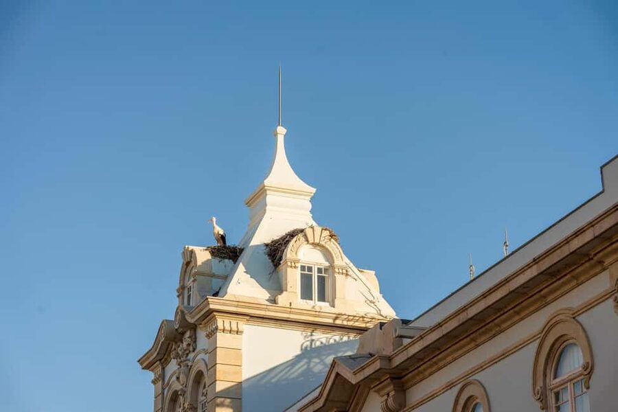 Hello Faro: Private 2-Hour Intro City Walk with Local Guide - Who should book this Faro intro walk, and who should skip it