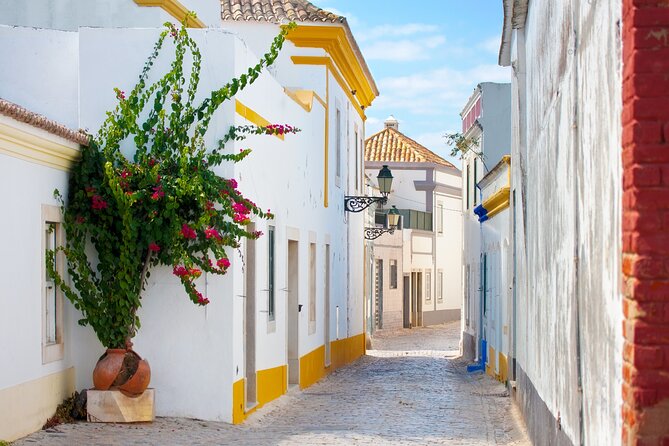 Highlights & Hidden Gems of Faro Private Tour - The included local drink or snack stop: where the tour turns friendly