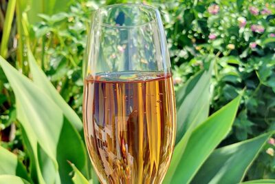 Homemade algarvian with a twist gourmet experience