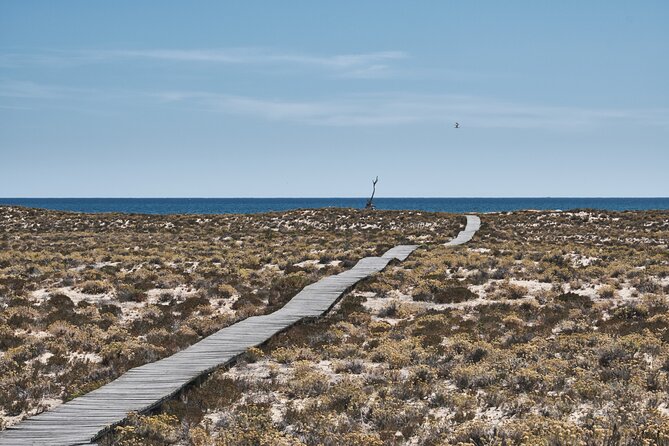 Hop On Hop Off 3 Islands: Deserta, Farol and Culatra - Weather, tides, and how to avoid the annoying parts