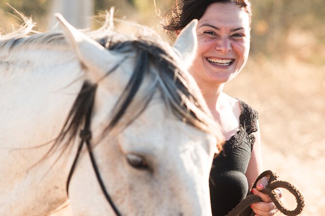 Horse Sanctuary: A nature walk with Rescued Horses by your side - What it feels like to walk with a horse on a lead