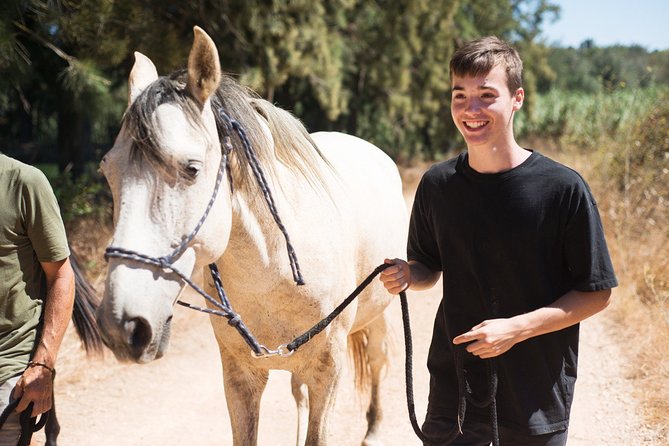 Horse Sanctuary: A nature walk with Rescued Horses by your side - Group size and timing: the 4:30 pm start works for many people