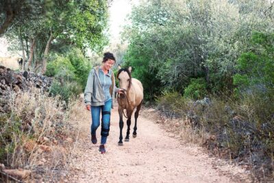 Horse Sanctuary: A nature walk with Rescued Horses by your side
